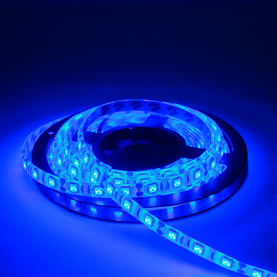 LED 플렉시블 5M 12v 블루 바 LX